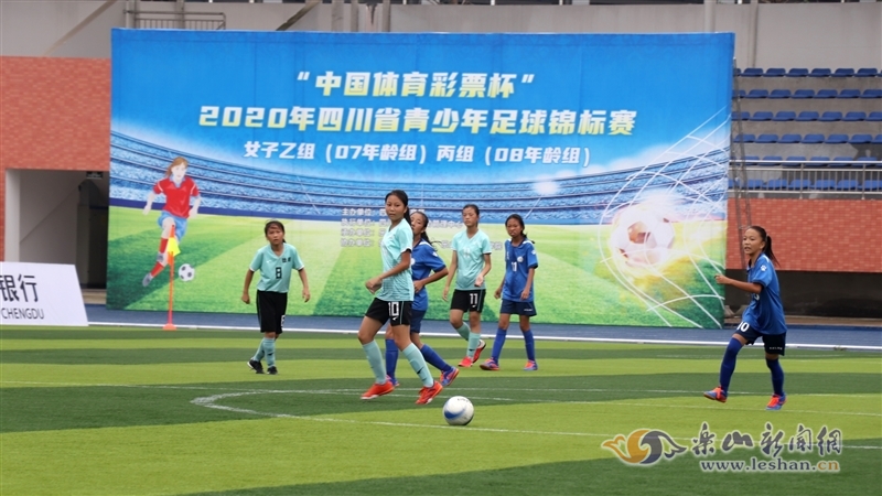 子职业篮球